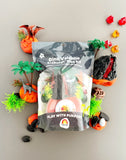 EARTH GROWN DOUGH KITS